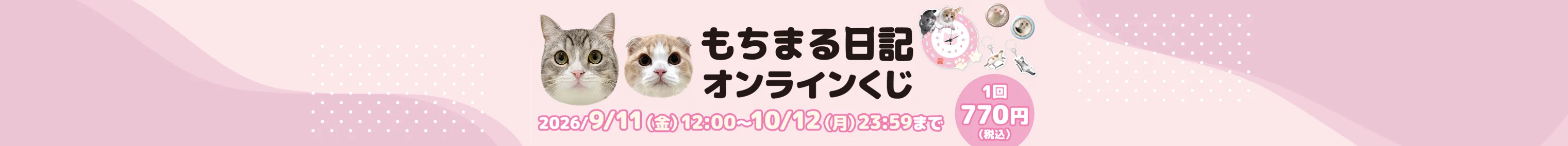 もちまる日記