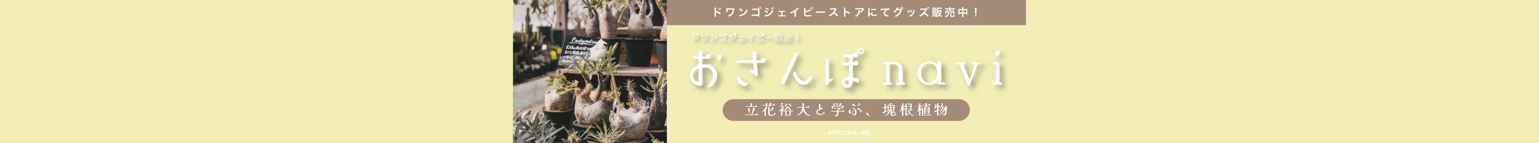 おさんぽnavi_walk3
