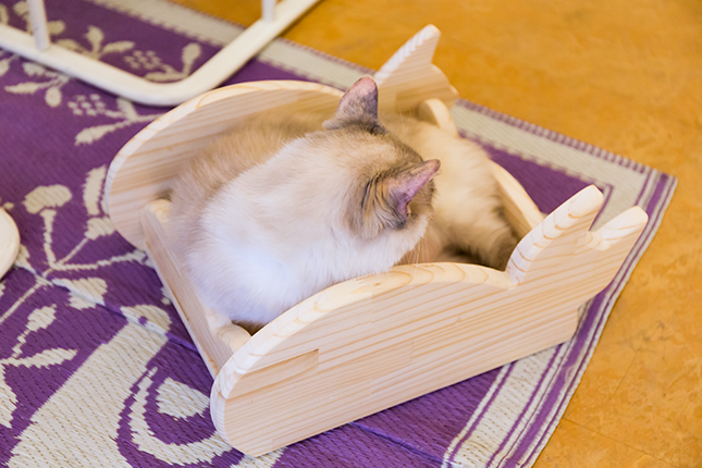 木製仔猫用ベッド