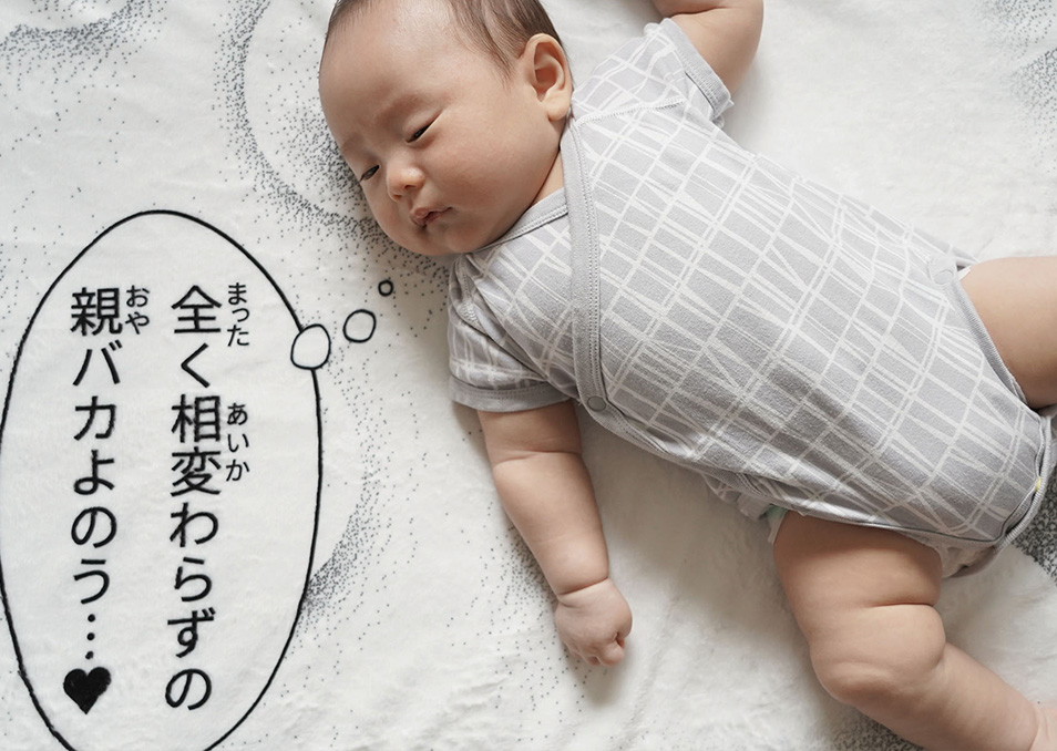 お昼寝コミックブランケット／狸寝入り | ドワンゴジェイピーストア