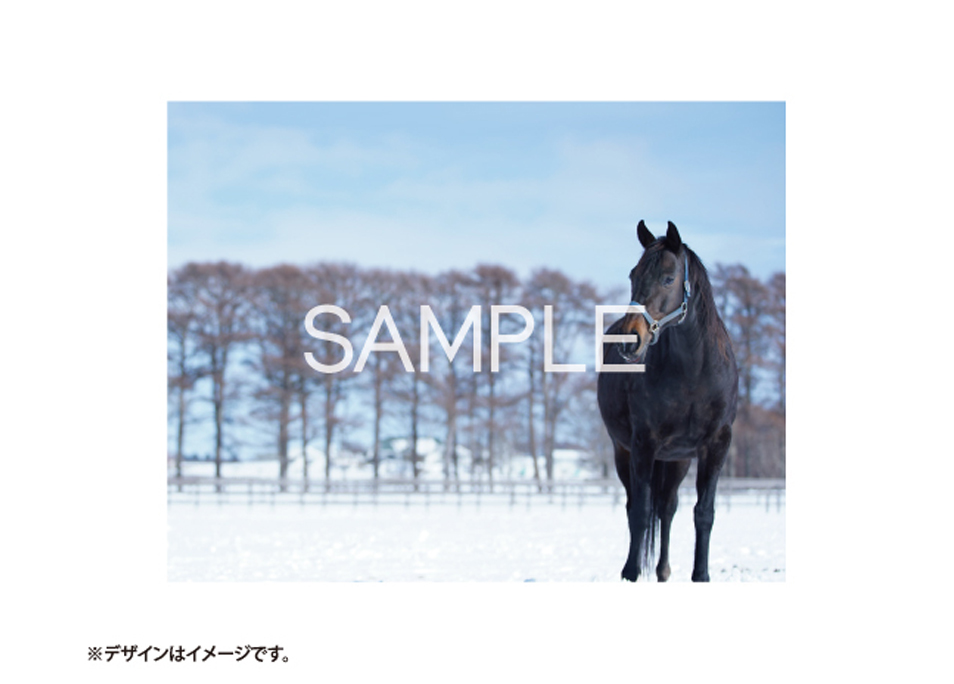 シュシュブリーズ一家とゆかいな仲間たちカレンダー | ドワンゴ