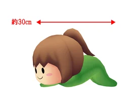 幕末志士　BIG尺坂ぬいぐるみ