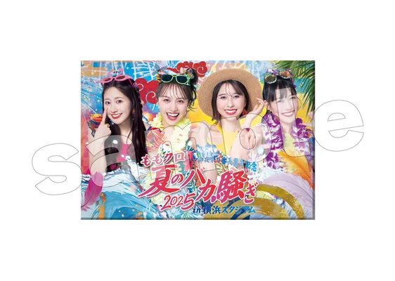 夏のバカ騒ぎ2025 長方形缶バッジ