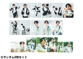 にゃん陣 3周年記念 ランダムトレーディングカード